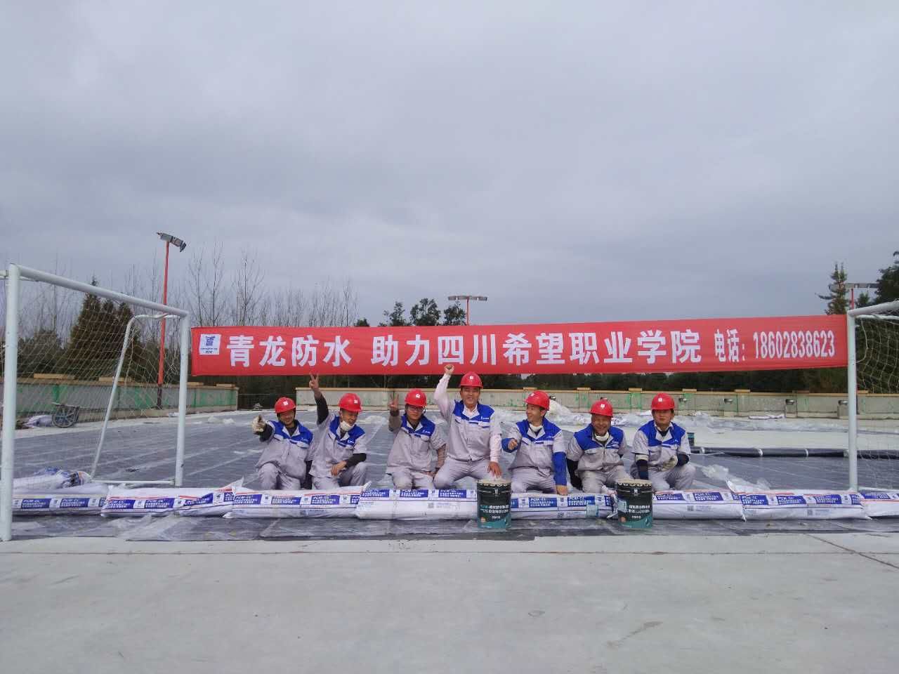 成都青龍節