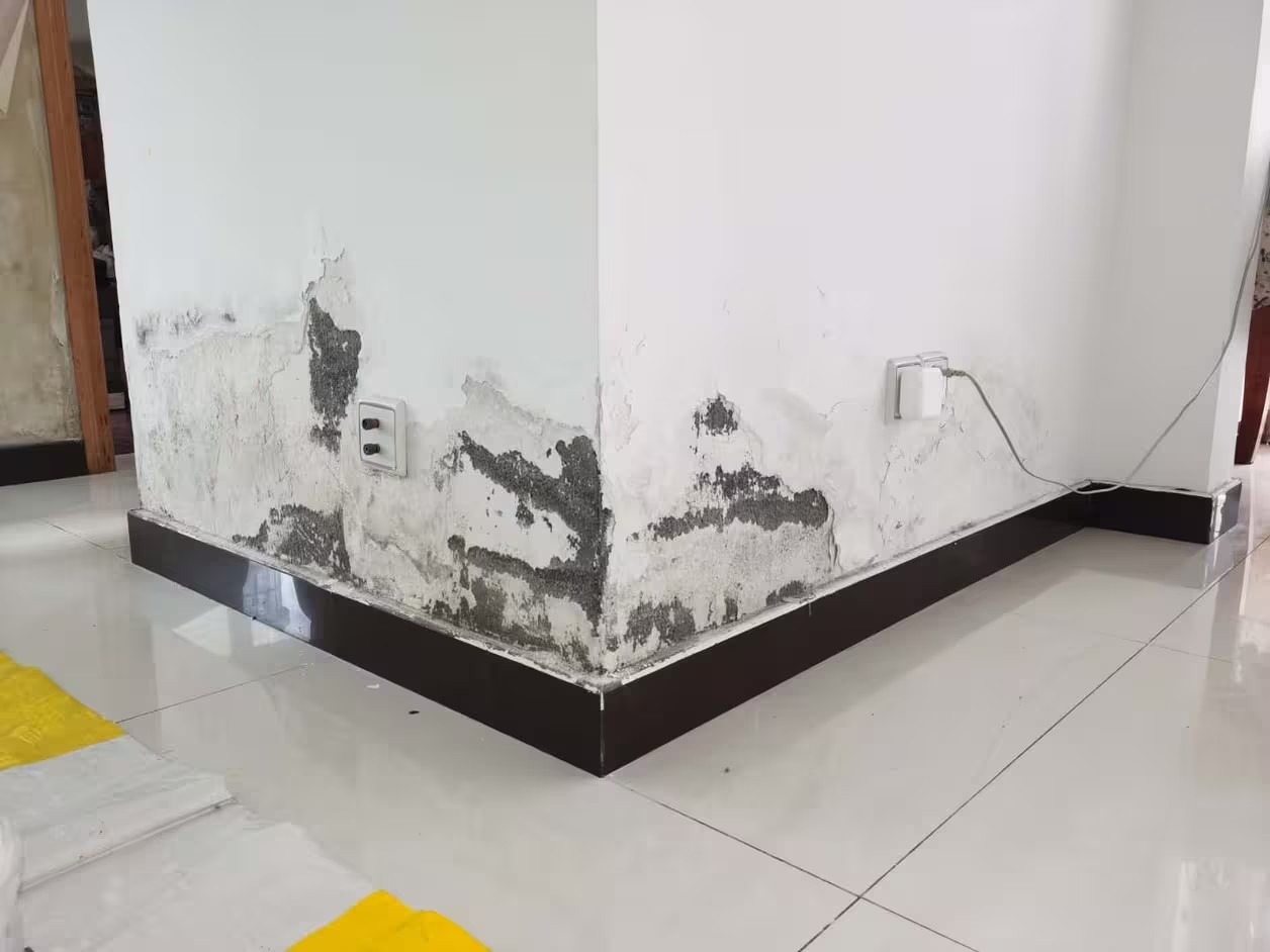 發潮2.jpg
